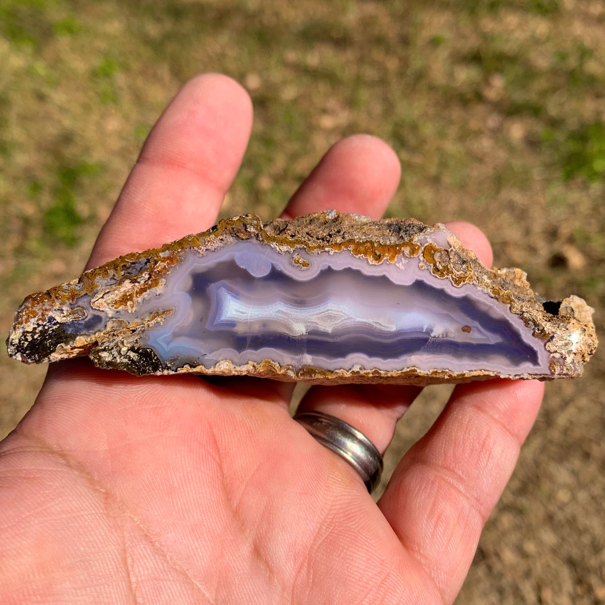 txrockhound's tweet photo. Agua Nueva agate. I really like the soft purple tones in this specimen. https://t.co/rHYttdtNNj