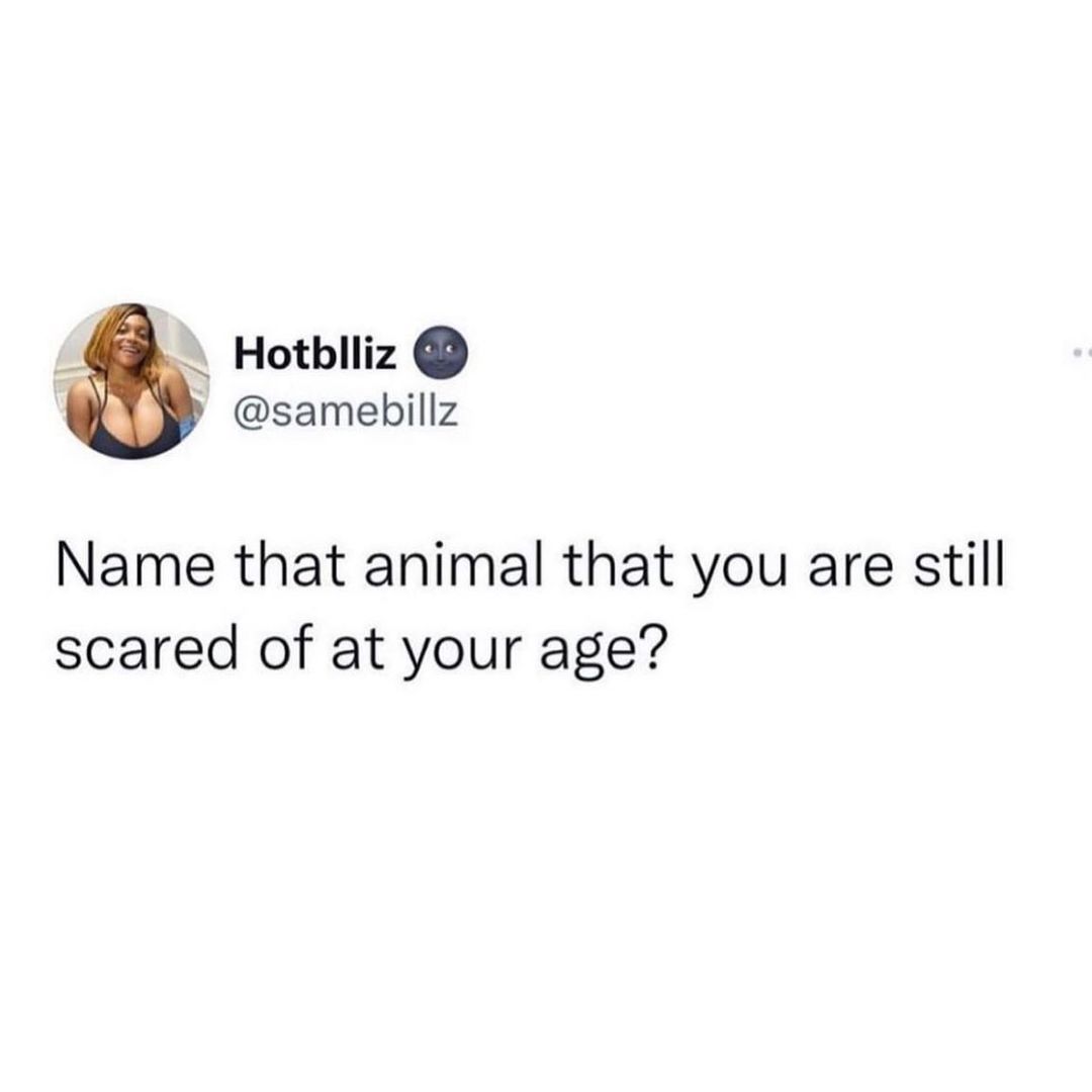 PulseNigeria247's tweet photo. Don't be shy. 😂😂⁣ https://t.co/QV09fUkK2S