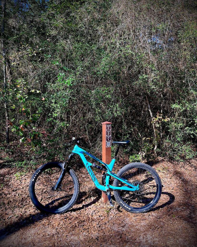 TheBugMX's tweet photo. It’s a beautiful day https://t.co/Fk5SPVd2Kl https://t.co/tzM4NIJR6H