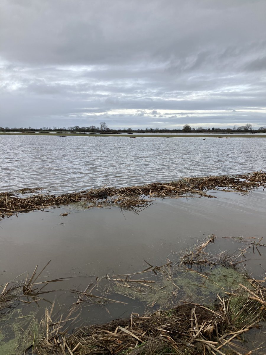 westyeo's tweet photo. Everyone below 8.8 meters above sea level pays a drainage rate but it should be the other way around every body above 8.8 meters should pay because we have to put up with your water before it goes out to sea + we protect towns and we get NO compensation for the loss of crops https://t.co/vK3wzwTbUQ
