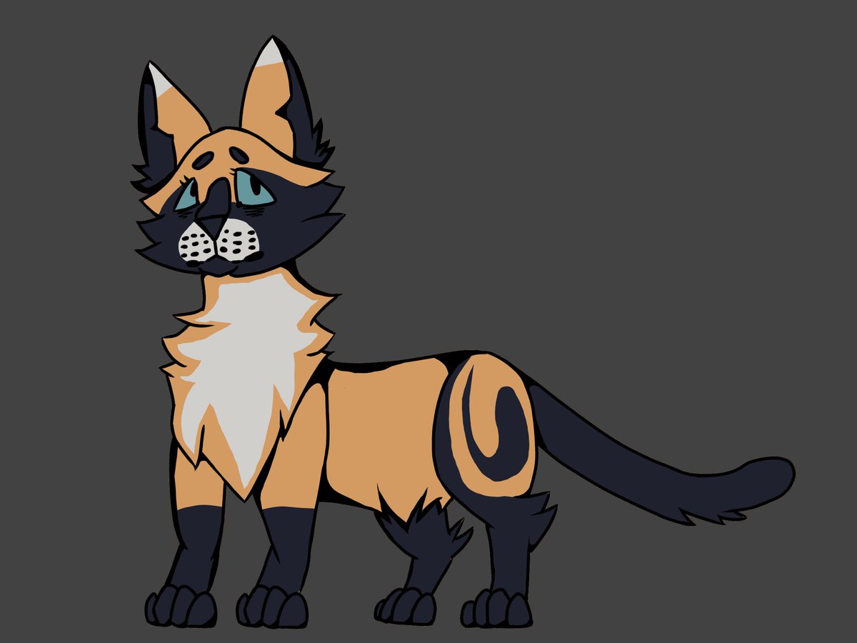 dragonwolf2004's tweet photo. Our med cat :) @Milezz_ya https://t.co/jjVGtQMlwM