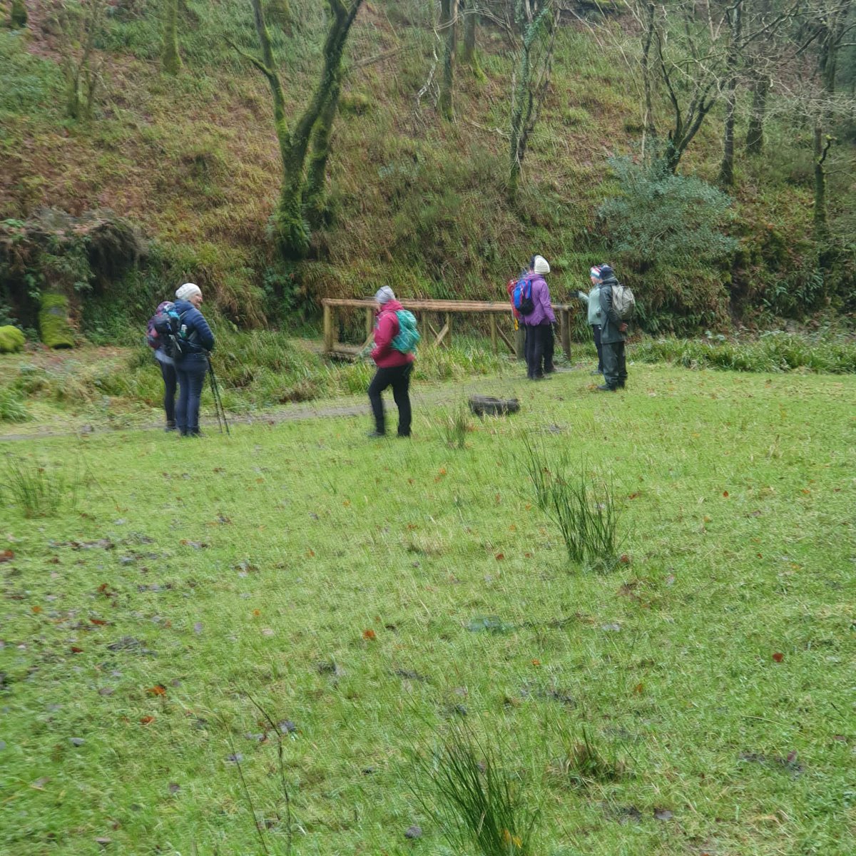 IpaHiking's tweet photo. Slieve Blooms is always a great hike.The A1 hike was 17km.Thanks to Ingrid, Pat, Freddy & Aidan.The A2 hike was 6km along the river and enjoyed by all. Thanks to Elaine for leading A2. #hikingadventures #hiking #ipaireland #ipahikingclub #slieveblooms #laoistourism #offalytourism https://t.co/ADFTEwxsID