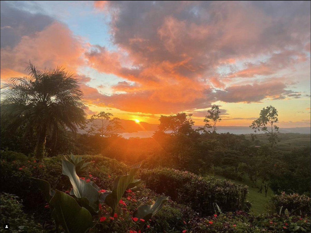 NO FILTERS, took with my #iphonepic Visiting with our neighbors last night! #sunset #lakearenal #lakearenalcostarica #expats #expat #costarica🇨🇷 #lakearenalcostarica #costarica #tropical #puravida #puravidacostarica #movingtocostarica #godsbeauty #godspainting #godspaintbrush
