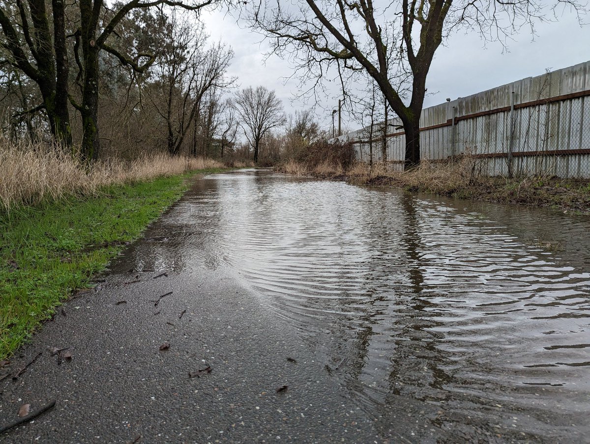 KimBadenfort's tweet photo. A warning for the trail lovers out there. The #JoeRodotaTrail is flooded just east of #LlanoRd between #SantaRosa and #Sebastopol https://t.co/YS0WNjZFEC