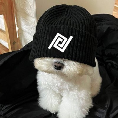 mercy ₪ tweet media