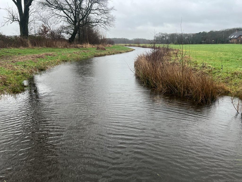 Ernest de Groot tweet media