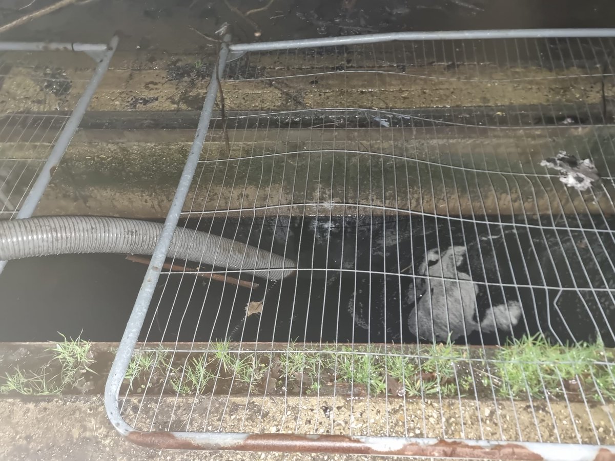 A few snaps from a recent training night. IFCOATS for all equipment with an engine followed by getting the LPP to work. #fire #rescue #firerescue #pumping #firefighter #fireengine