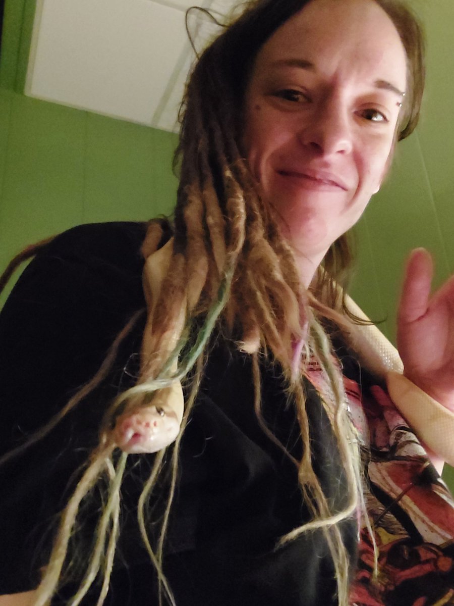 Jenis_Odd_Pets's tweet image. Beautiful boy! 
#savethespiders 
#spiderballpython