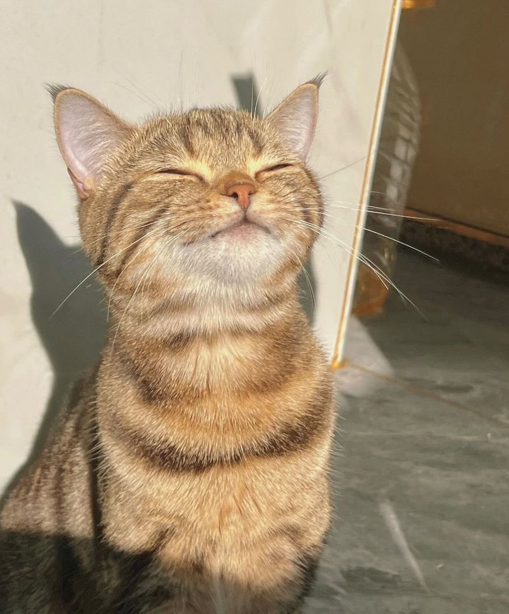 teenyjimi's tweet photo. no sun pls https://t.co/WFuCVTlKkG