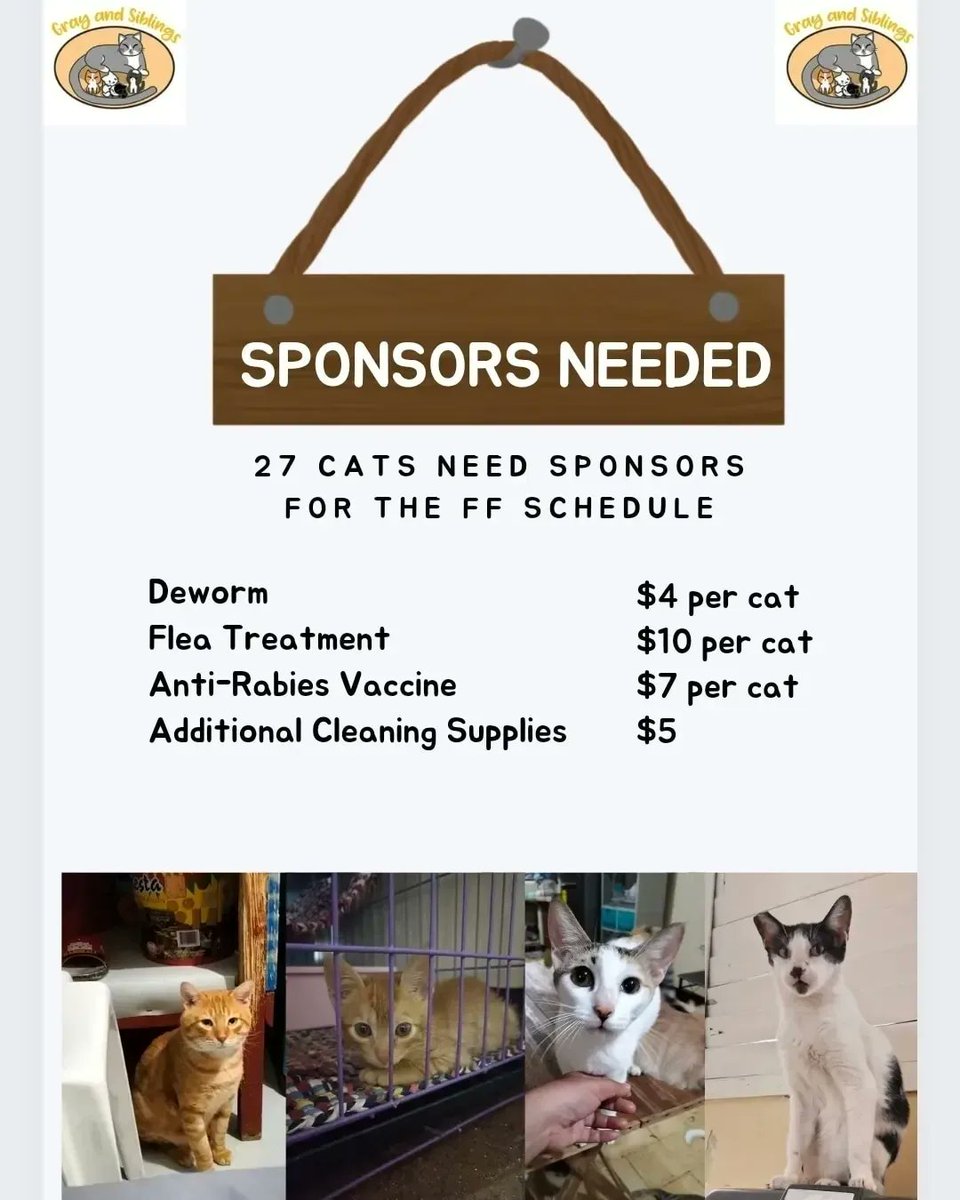 Gray And Siblings tweet media