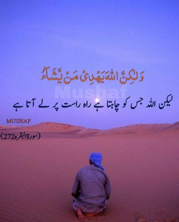 Fatima (@falak2704) on Twitter photo 