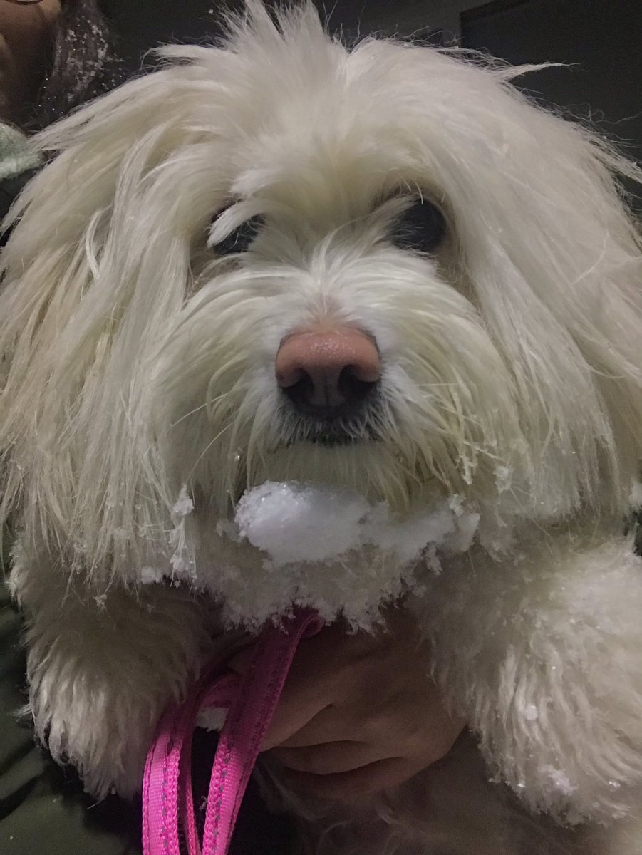 kardan adamıma bakın😻