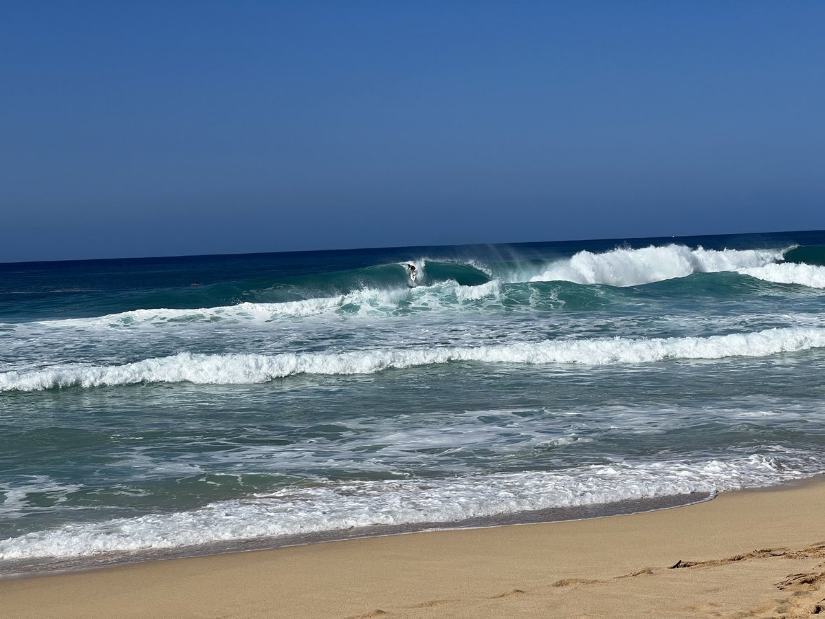 Bill Dudney tweet media