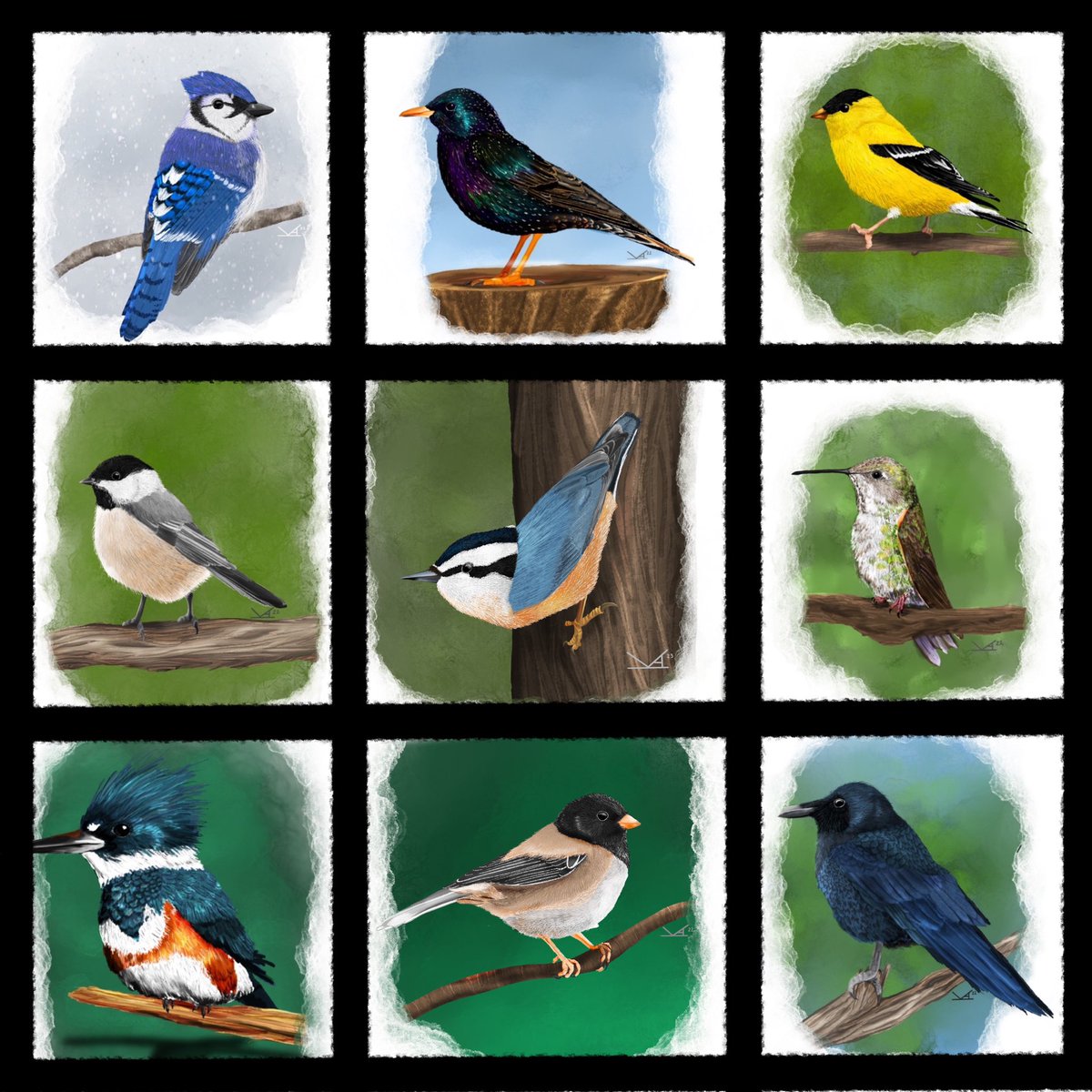 FernheartDesign's tweet photo. @ChloeCarterArts Thanks for the art share Chloe!

I’m Kiri and I do a lot of animal art, along with landscapes. https://t.co/tPcM3luJyg