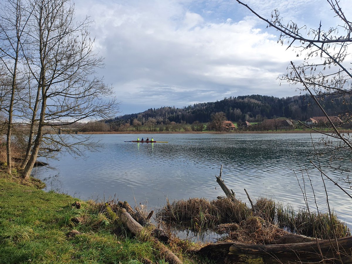 neverbar's tweet photo. Rudern auf dem #Wohlensee BE https://t.co/zWZIIWYiSO
