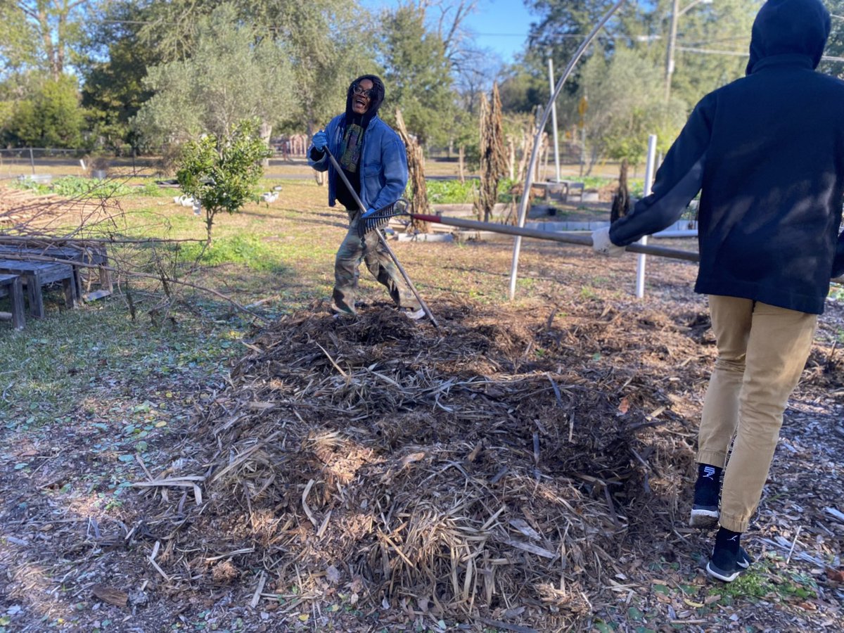 In honor of Martin Luther King, Jr. My office partnered with @AFSCMEFL, @WealthWatchers and @ewctigers’s New Town Success Zone to help spruce up their Urban Farmacy. So excited we were able to harvest some greens for those in need in the community.