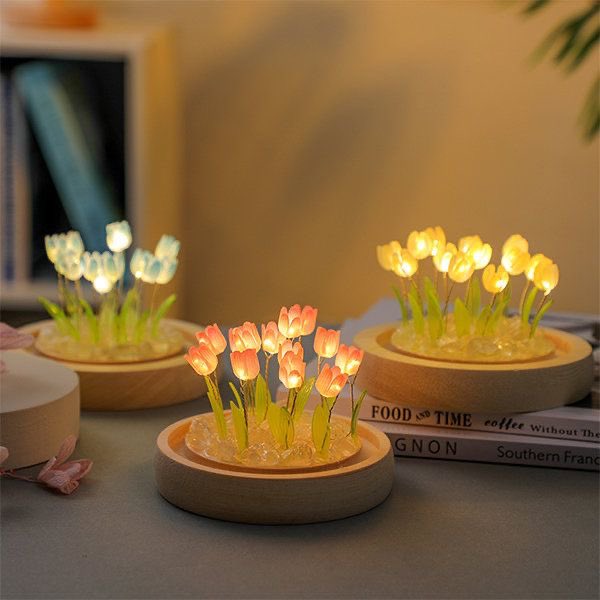 SoftnessDaily's tweet photo. tulip lights 🎀 https://t.co/gS3soQTDSH