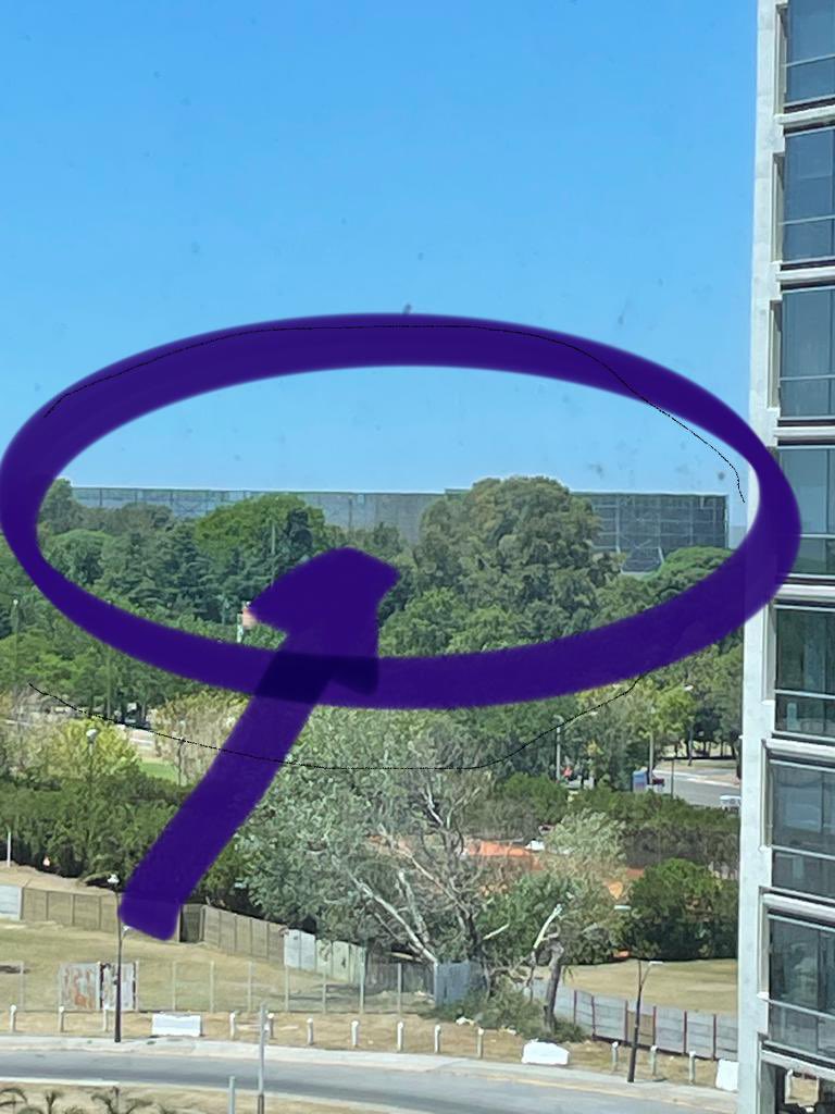 Dolores Mitre🍀 tweet media