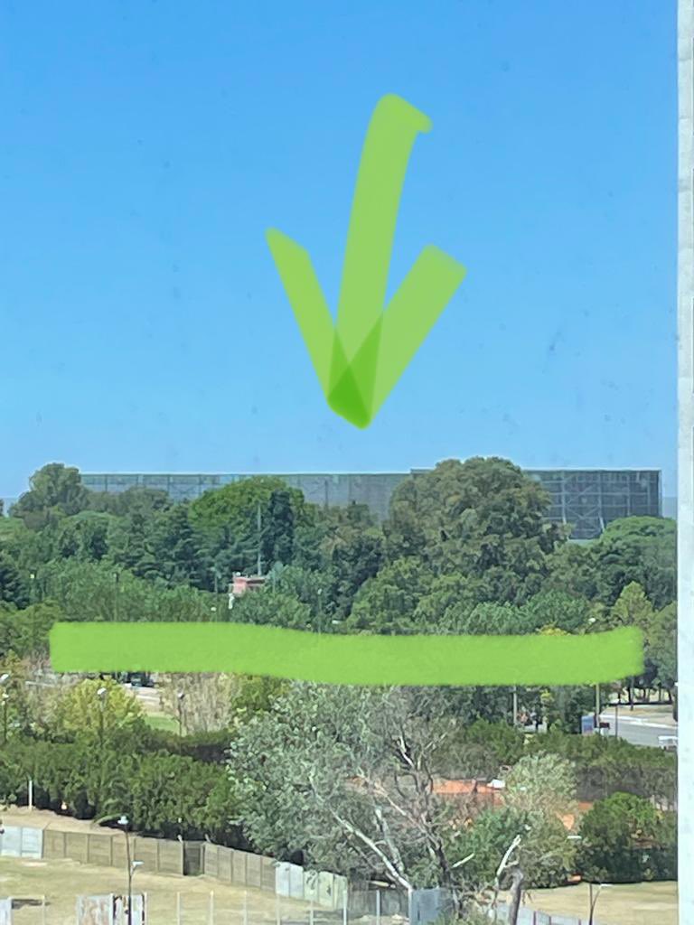 Dolores Mitre🍀 tweet media