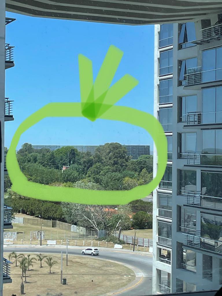 Dolores Mitre🍀 tweet media