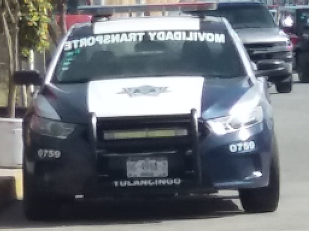 ElDaka22's tweet photo. y donde esta el #policia.. haciendo operativo en los #invernaderos por que las #plantas exceden el limite de #velocidad para #florear????????
esto es #Tulancingo donde el #Gobierno dice que todo esta bien pero esta es la #realidad y no lo que te cuentan.. #hidalgo..  y #menchaca? https://t.co/Xocu7OANma