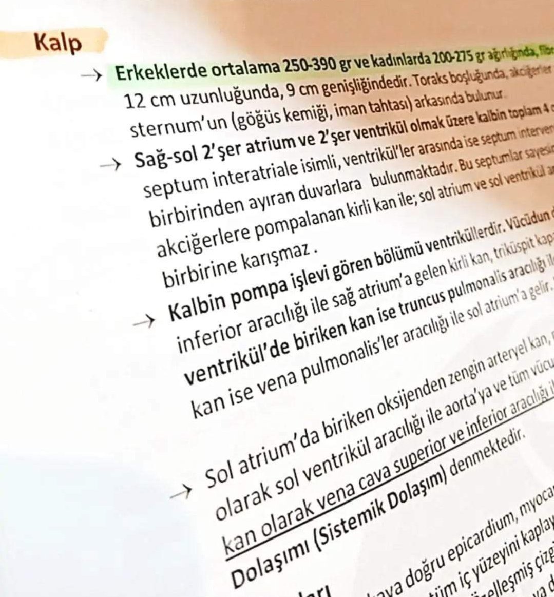 Not alın sonra unutuyorsunuz...
Nerede olduğunu , nasıl kullanacağınızı...