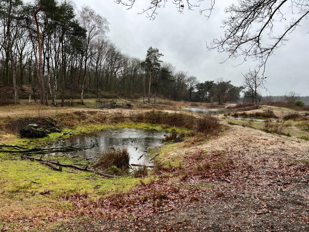 Water Natuurlijk Aa en Maas tweet media