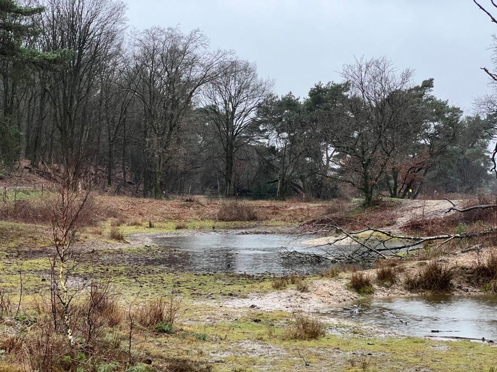Water Natuurlijk Aa en Maas tweet media