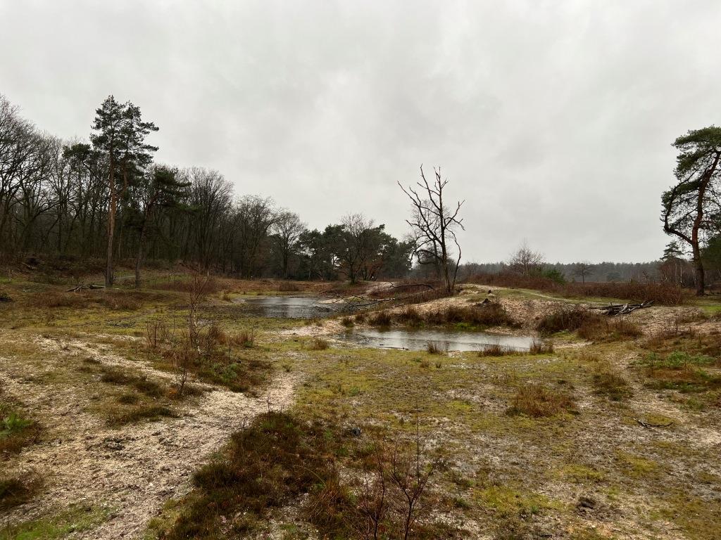 Water Natuurlijk Aa en Maas tweet media