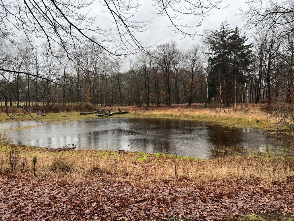 Water Natuurlijk Aa en Maas tweet media