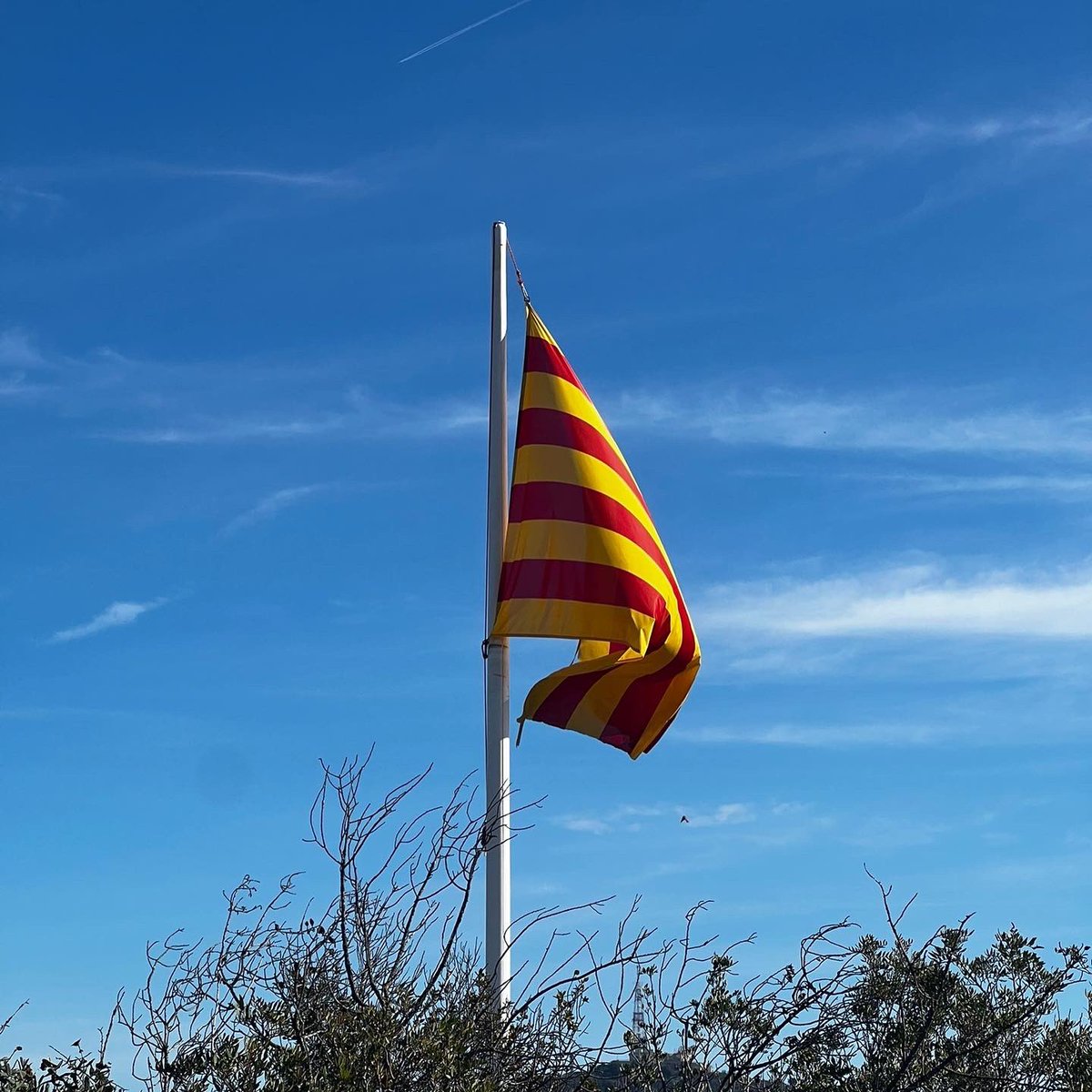 PSCSantJust's tweet photo. Encesa de Torres, Talaies i Talaiots de la Mediterrània pels #DretsHumans a la Penya del Moro de #SantJust @ginapol @GonzalQuima @neoxpm https://t.co/rDv4Q7zJp9