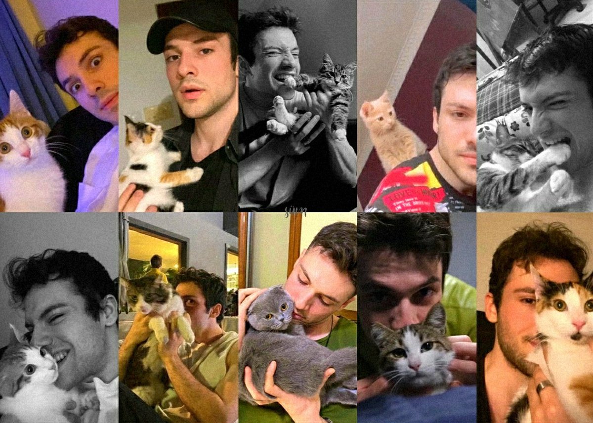 kedilere yazılan tüm şiirler ve şarkılar bu çocuğa gide bilir mii 🔥 #haktanzavlak