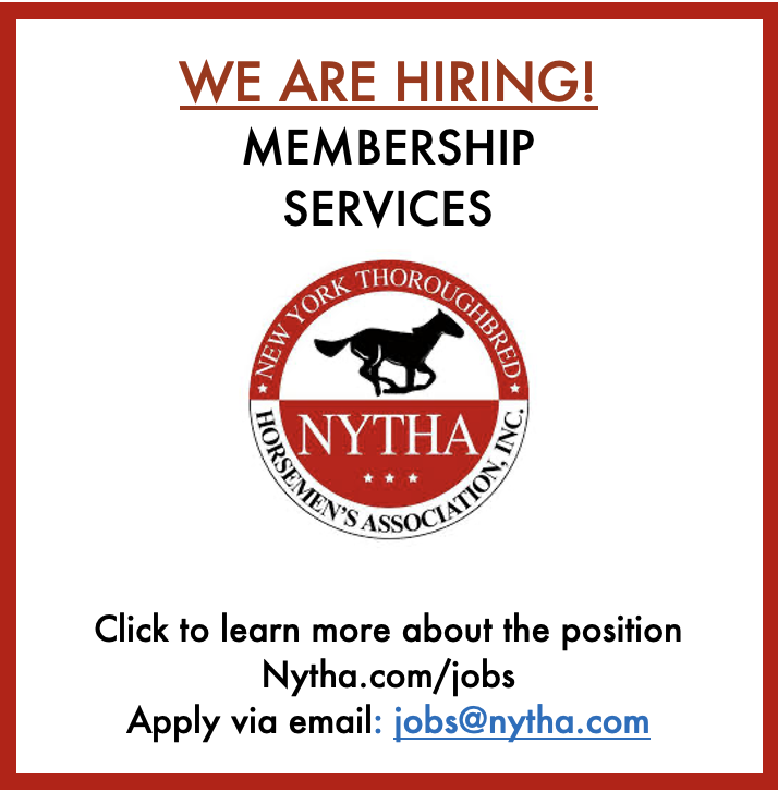 NewYorkTHA's tweet photo. Interested in joining the NYTHA team? We are looking for a knowledgeable individual to handle Membership Services. This position will be the primary liaison with all NYTHA members. To learn more, visit https://t.co/MXKLgnYAXz https://t.co/FerQNqv7sR
