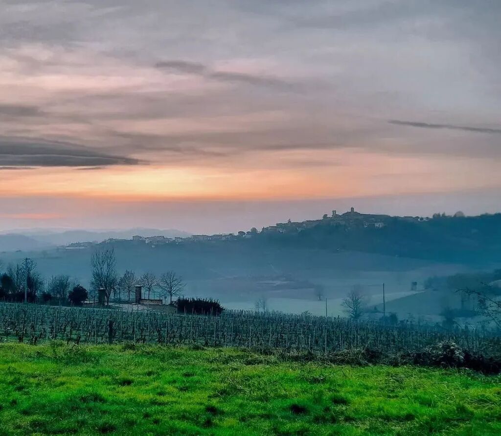 ig_piemonte's tweet photo. presenta

📍#rosignanomonferrato, tramonto a #cellamonte
AUTORE @lacamminatricecuriosa

LOCAL MANAGER @margheritacarosio &amp; @mic_omt
TAG #ig_alessandria #alessandria
MAIL igpiemonte@gmail.com
SOCIAL
• https://t.co/e3pQ6zcRUA
• Twitter @ig_piemon… https://t.co/sDox2Djkgx https://t.co/uwYd0indjC