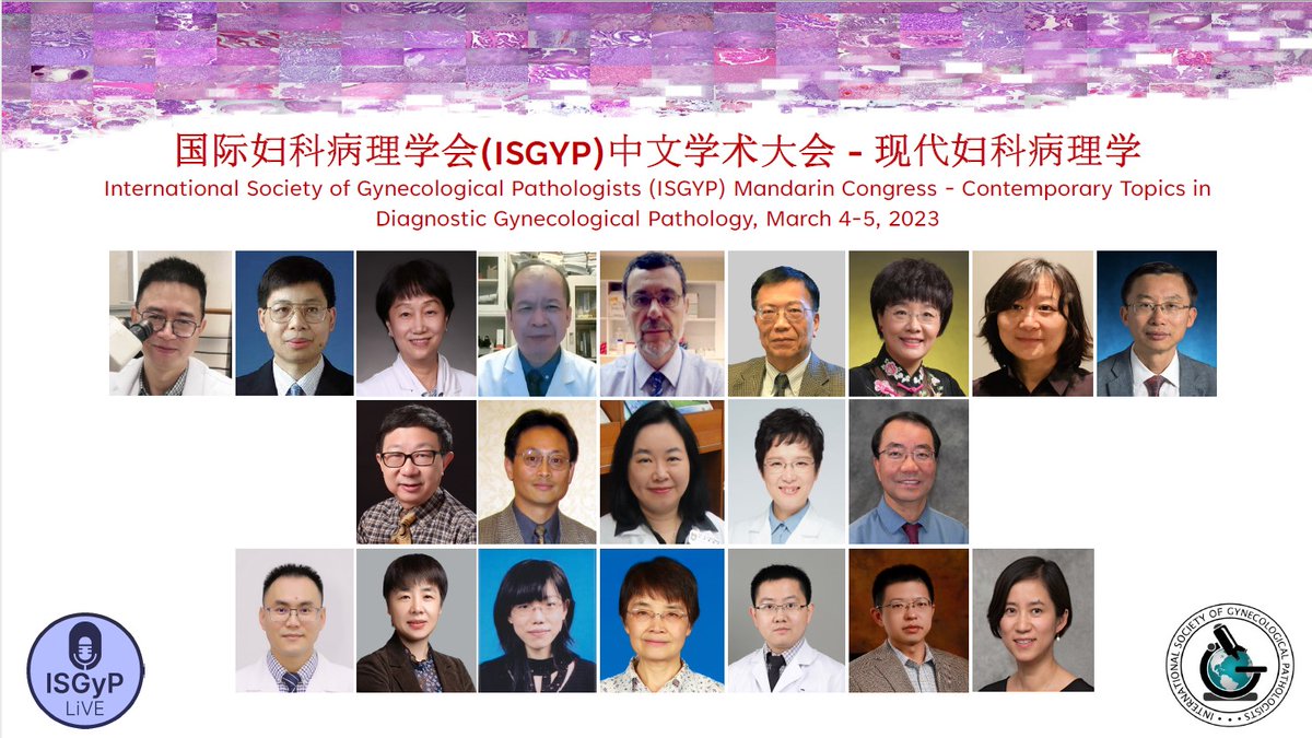 International Society of Gynecologic Pathologists tweet media