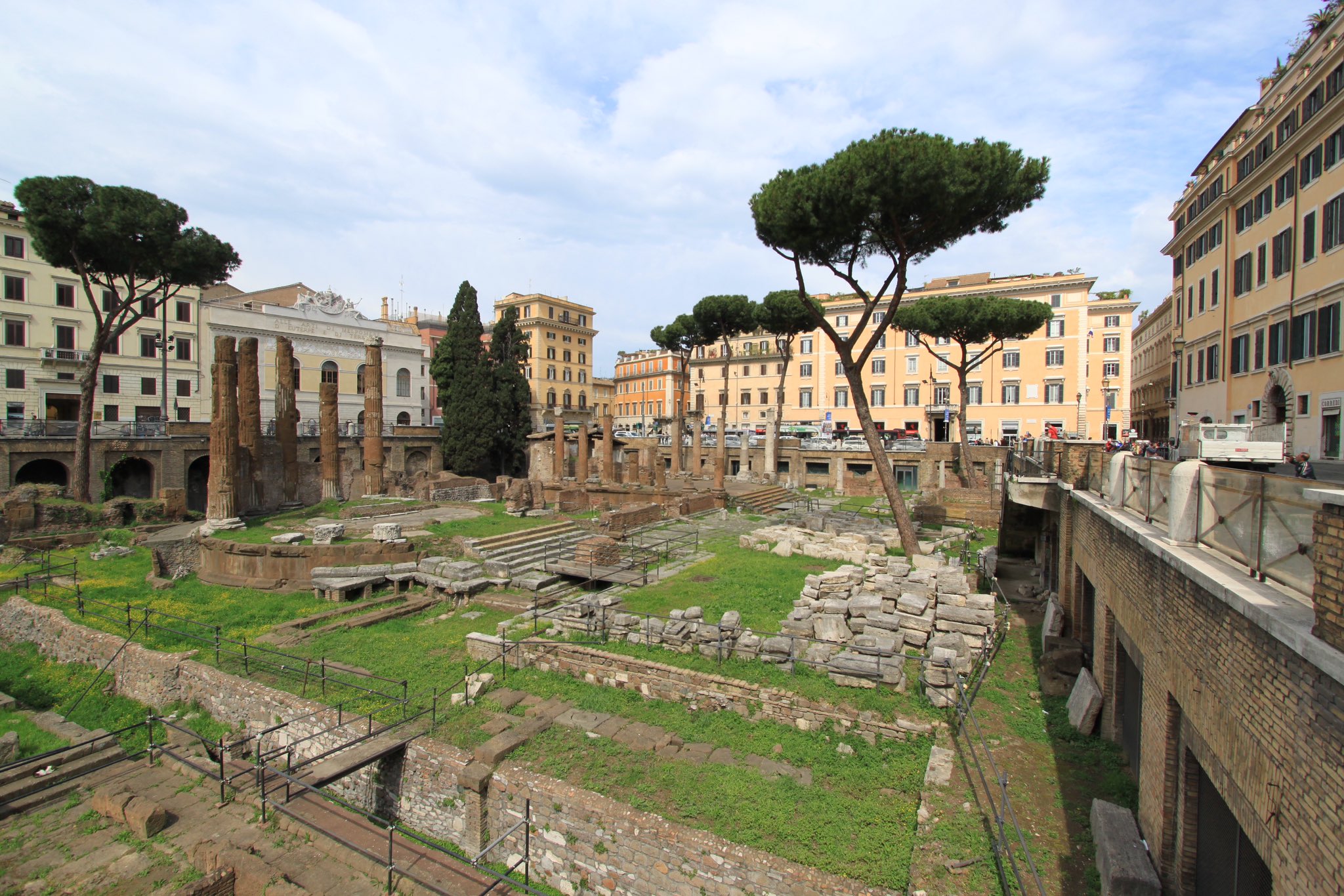 またたび@個人旅行で旅するねこ on Twitter