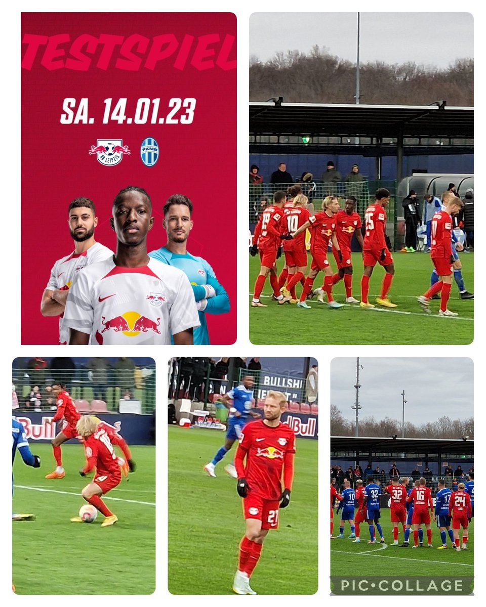 Katja Floh (@katja_floh) on Twitter photo 