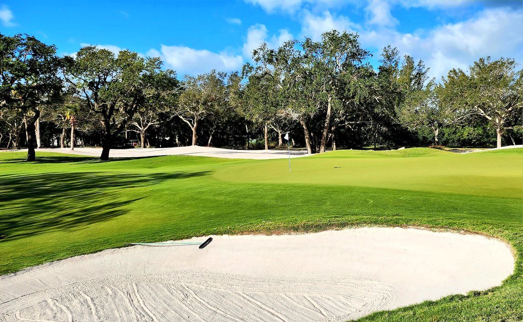 turfmonkeyboy's tweet photo. Didn't take much to cash in the quota game today with 20+ winds and temps in the forties to start. Helps that I am playing like a.... well sorry Millie girl that ain't right to say. Course still looking like mid July; it is crazy. What do you think @TPJAgronomyDoc? Ag-Ox? https://t.co/0EVCLBfeCR