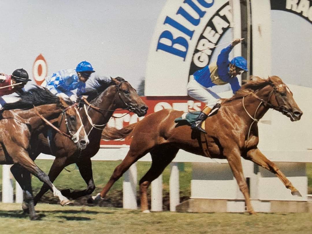 RANCHER 
12 starts 9 wins 2 placings including. 8 Group races the GR1 BLUE DIAMOND STAKES (1982) undefeated as a 2 year old 8 Wins 900M to 1200M
