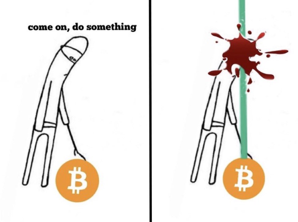 techconcatalina's tweet photo. Meme de día 😂

#Bitcoin https://t.co/TqbTFGbpy2