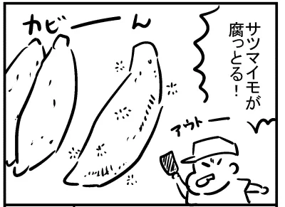 ブログ更新!『芋が腐ってた』 ⇒ 