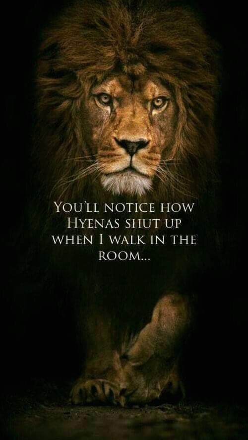 JovanaLaLinea's tweet photo. #NewProfilePic I didn't came here to participate I came here to dominate! #ladyleo🦁 https://t.co/8vpQ8HvlNr