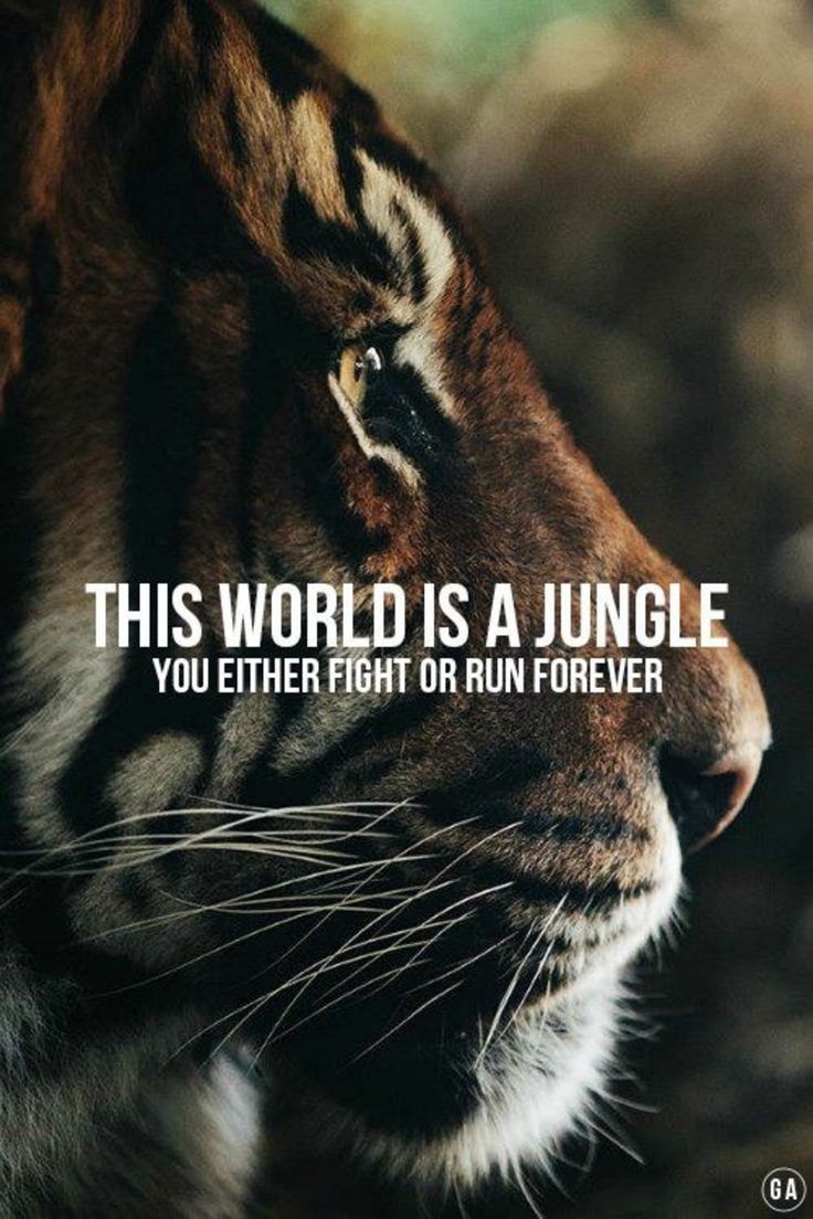 JovanaLaLinea's tweet photo. #NewProfilePic I didn't came here to participate I came here to dominate! #ladyleo🦁 https://t.co/8vpQ8HvlNr