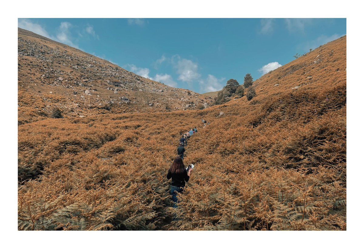 Vikings Valhalla Season 2

Now streaming on Netflix.