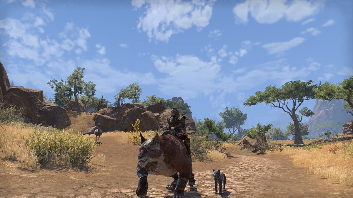 J_aesperHelps's tweet photo. After defeating the Dragon threat and hearing the cryptic words of Nahfahlaar, Sai Sahan has suggested that J'aesper travels to the Temple of the Ancestor Moths in Cyrodiil. After much thought, khajiit has decided he will venture to the Moth Priests' home. #ESO #ESORPG https://t.co/YwmnrFnfOh