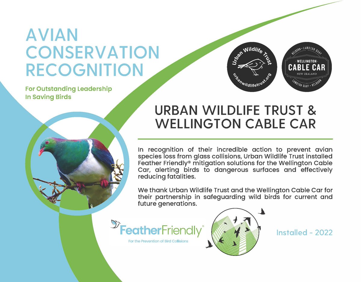 KereruDiscovery's tweet image. Great to get some recognition for the work we did on making the Wellington Cable Car Terminal the first commercial bird-safe building in New Zealand. 😊🐦
Thanks, @FeatherFriendly 💚
#FeatherFriendly #urbanwildlifetrust #makewindowssafeforbirds #birdsafe #wellingtoncity
