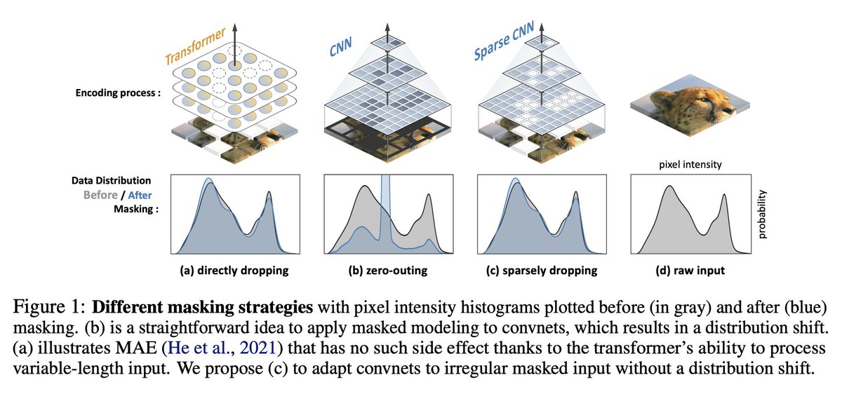fly51fly's tweet photo. [CV] Designing BERT for Convolutional Networks: Sparse and Hierarchical Masked Modeling
K Tian, Y Jiang, Q Diao, C Lin, L Wang, Z Yuan [Peking University &amp; Bytedance Inc &amp; University of Oxford] (2023)
https://t.co/TJwQep1Has
#MachineLearning #ML #AI #CV 
[1/2] https://t.co/erswznpp2X
