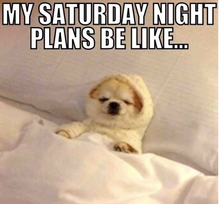 DWM Cards tweet media