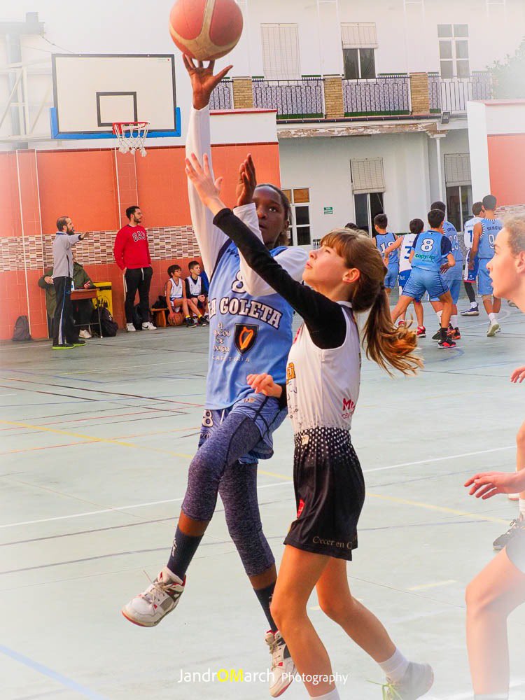 adecgoleta's tweet photo. 📌 RESULTADOS | Liga @FAB_Malaga | J6ª | Fase Previa🥇

☹️ PIN Femenino 2️⃣6️⃣ - 4️⃣3️⃣ @cbsalliver 

Jugamos un buen partido ante un gran equipo que nos motiva a seguir mejorando de cara a la segunda fase 🙌🏻

#SomosTUequipo💙
#vamosgoleta🏀 https://t.co/Bkwd6n0LSQ