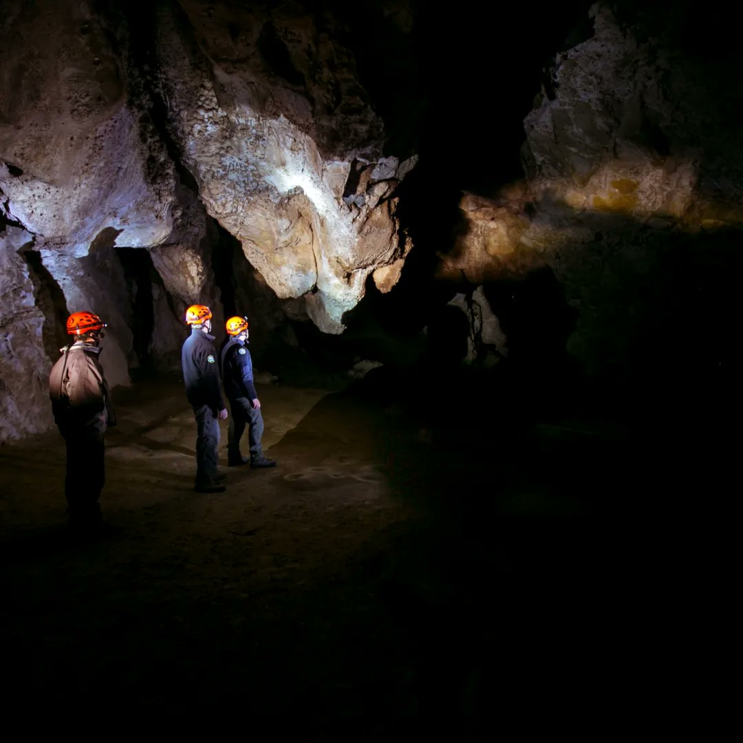 MalargueTurismo's tweet image. Estalactitas, estalagmitas, columnas y coladas, todas formas minerales que podes observar al ingresar a la Caverna de Las Brujas

Un lugar único que podes visitar en tus próximas #vacaciones

Te esperamos 😃

#malargueturismo #caverna #reservanatural #excursion #aventura